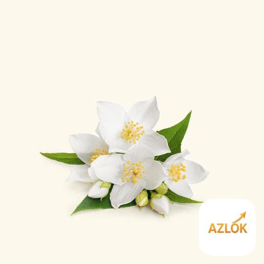 Jasmine Massage Oil - Image 1