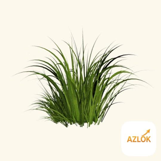 Khus Flavor Oil - Image 1