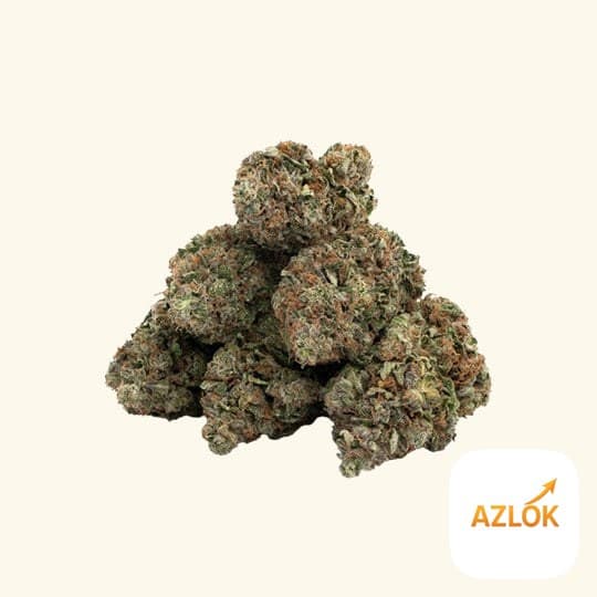 Kush Fragrance Oil - Image 1