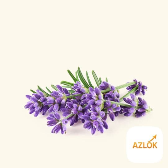 Lavandin Essential Oil - Image 1