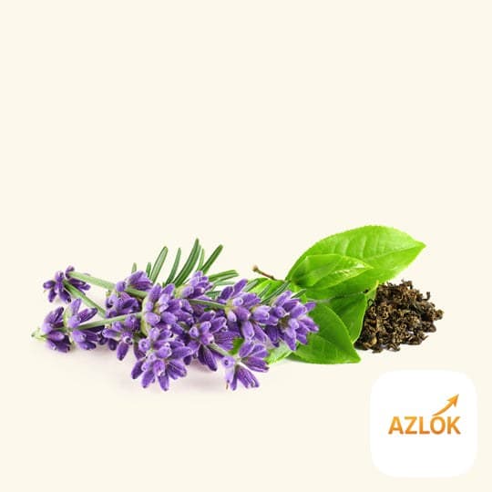 Lavender & Green Tea Fragrance Oil - Image 1