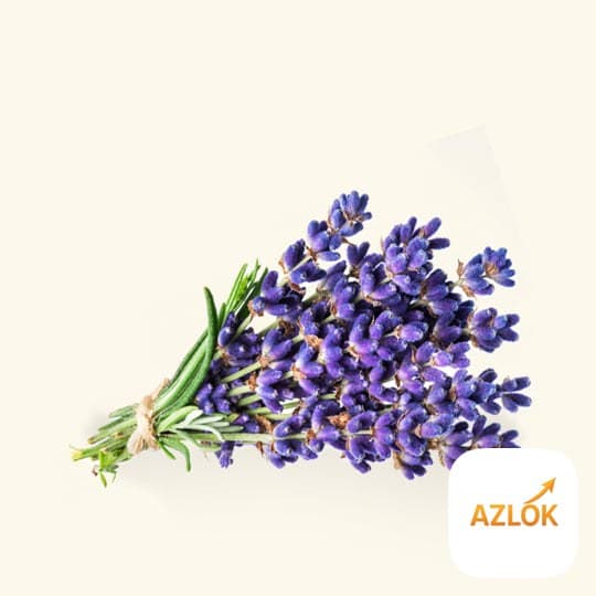 Lavender Hydrosol - Image 1