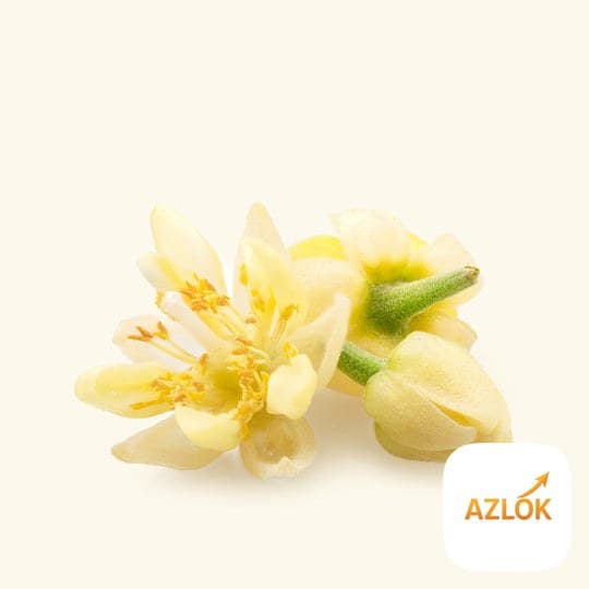 Linden Blossom Essential Oil - Image 1