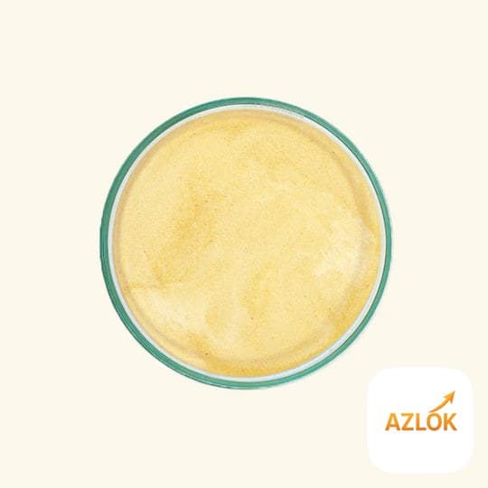 Mango Powder - Image 1