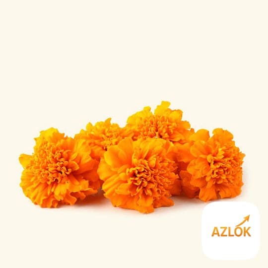 Marigold Fragrance Oil - Image 1
