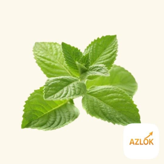 Menthol Flavor Oil - Image 1
