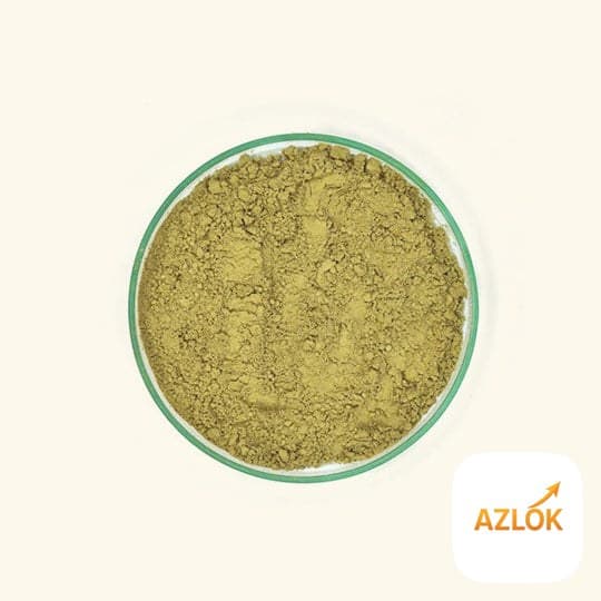 Mint Leaves Powder - Image 1