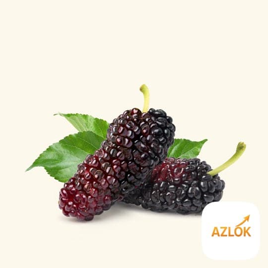 Mulberry Liquid Extract - Image 1