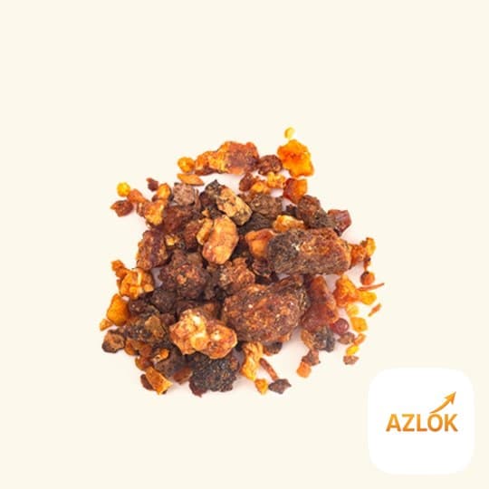 Myrrh Absolute Oil - Image 1