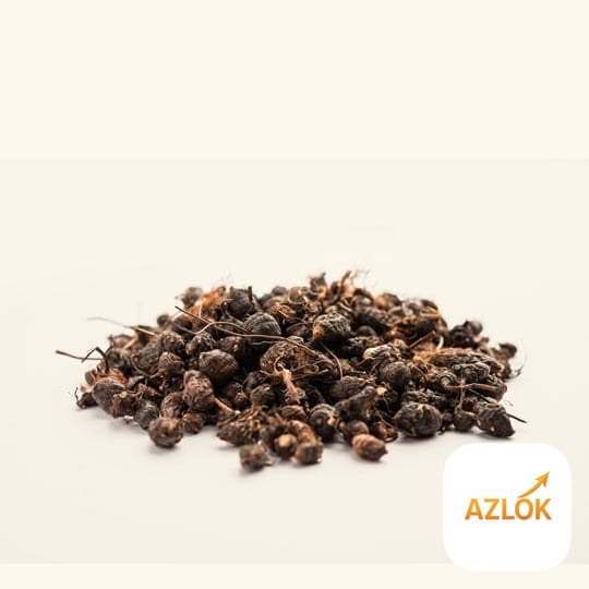 Nagarmotha Essential Oil - Image 1