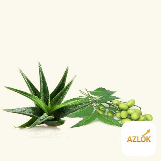 Neem Aloe Fragrance Oil - Image 1