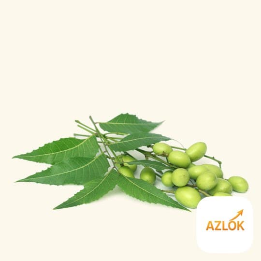 Neem Hydrosol - Image 1