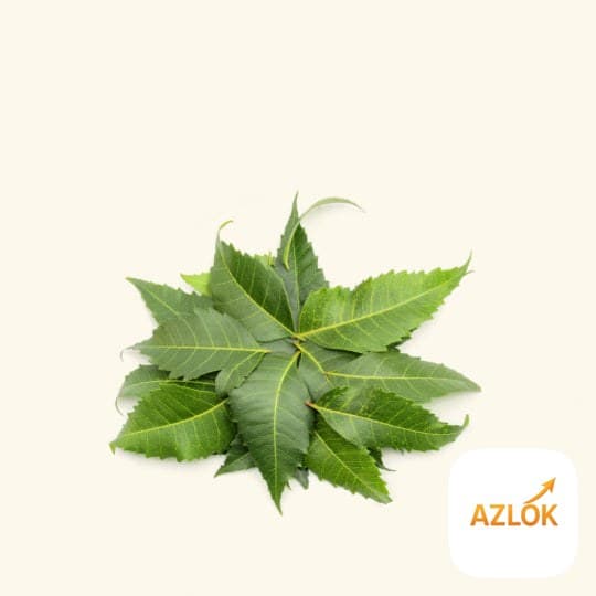 Neem Leaf Liquid Extract - Image 1