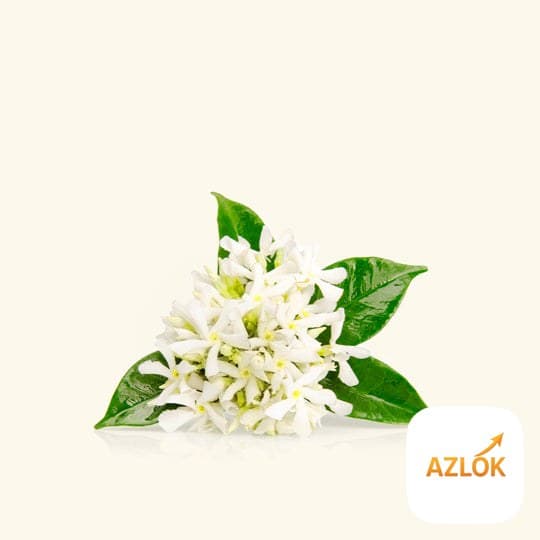 Neroli Essential Oil - Image 1