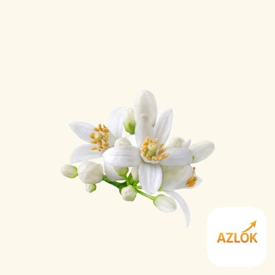 Neroli Fragrance Oil - Image 1