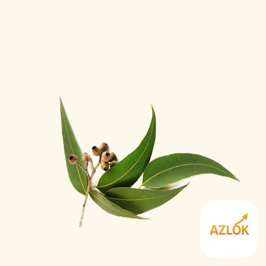 Nilgiri Oil - Image 1