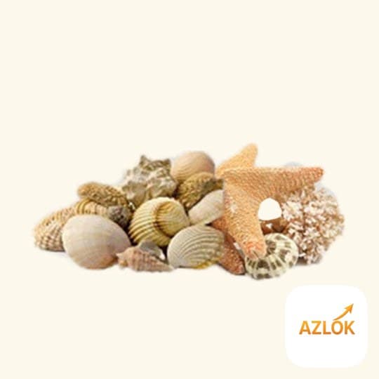Oceanic Dream Fragrance Oil - Image 1