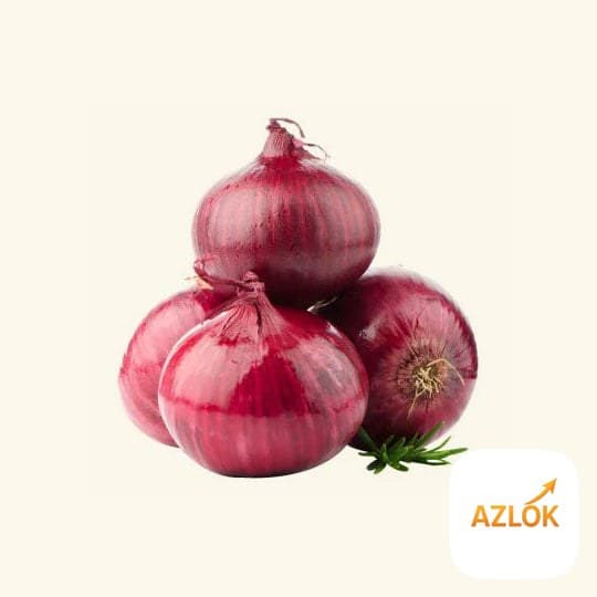 Onion Liquid Extract - Image 1