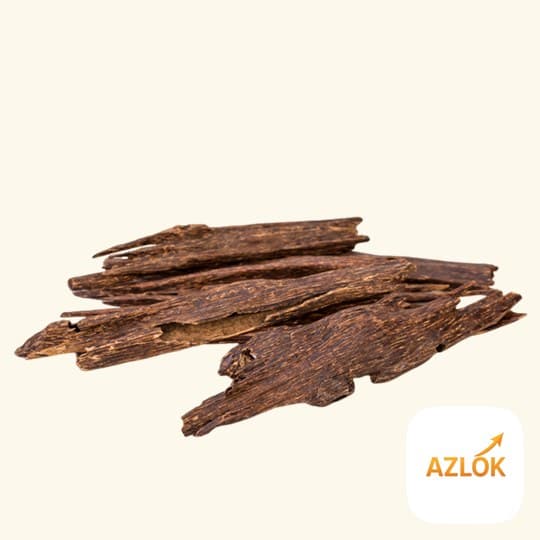 Oudh Twist Fragrance Oil - Image 1