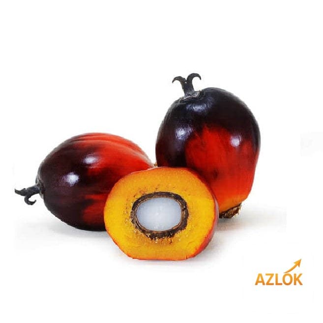 Palm Kernel Oil - Image 1