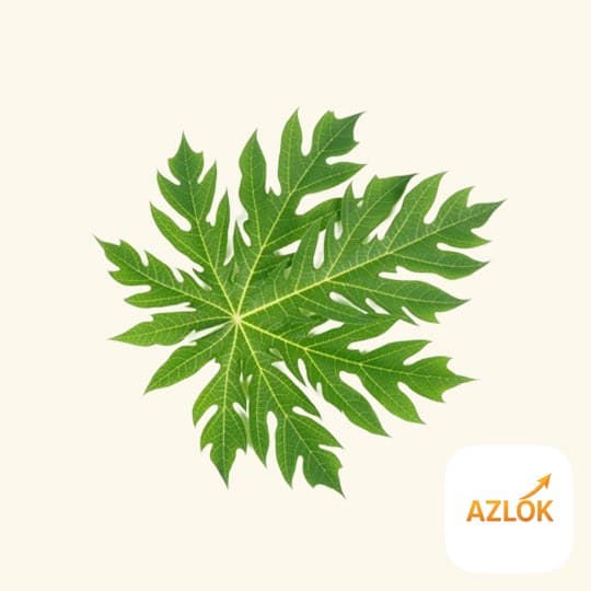 Papaya Leaf Hydrosol - Image 1