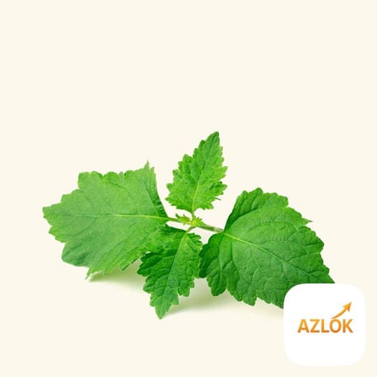 Patchouli Fragrance Oil - Image 1