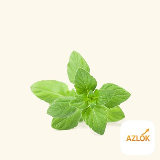 Pennyroyal Essential Oil - Image 1