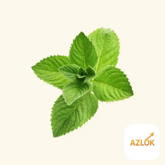Peppermint Flavor Oil - Image 1