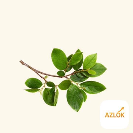 Peru Balsam Essential Oil - Image 1