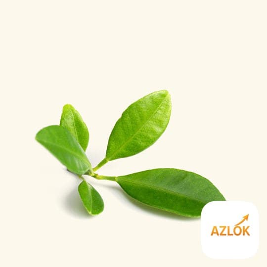 Petitgrain Essential Oil - Image 1