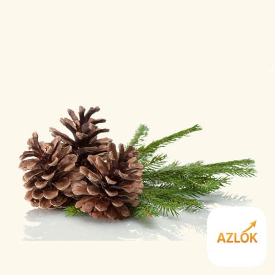 Pine Needle Oil - Image 1