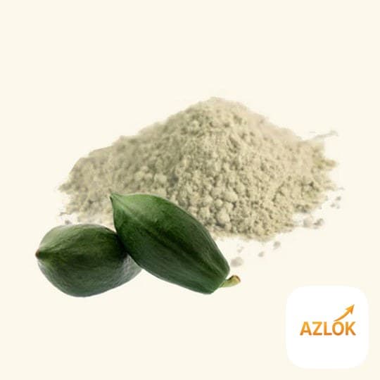 Raw Papaya Powder - Image 1