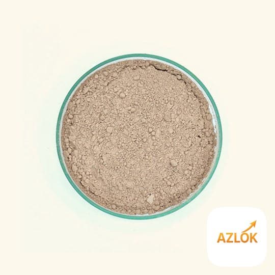 Reetha (Soapnut) Powder - Image 1