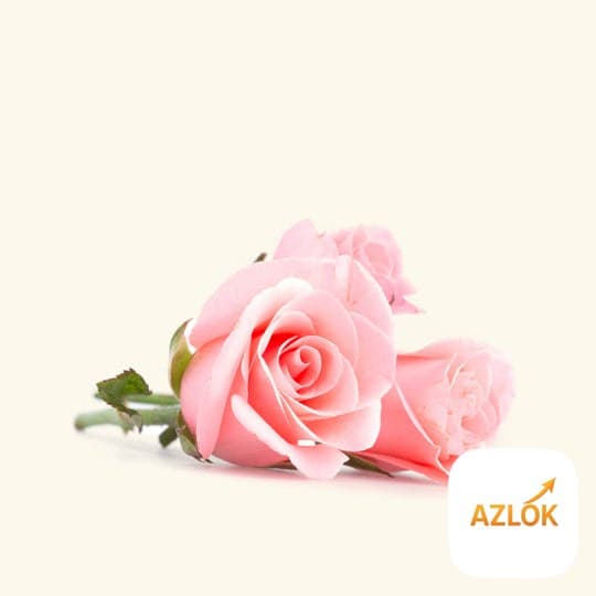 Rose Essential Oil - Image 1