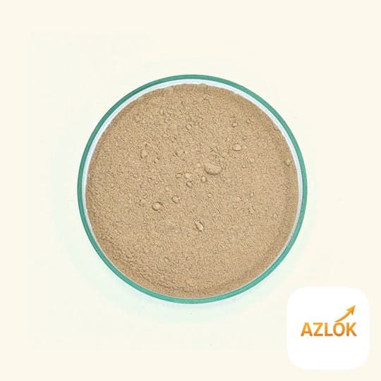 Shikakai Powder - Image 1
