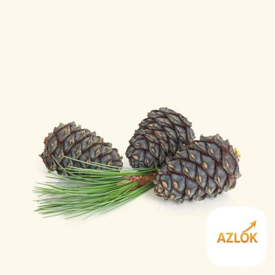 Siberian Fir Needle Oil - Image 1