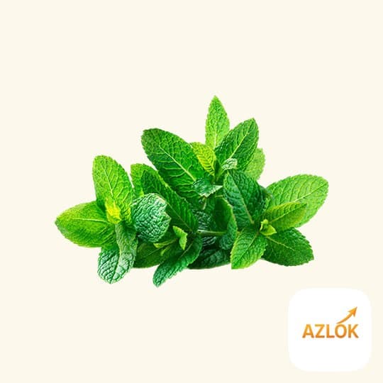 Spearmint Flavour Oil - Image 1
