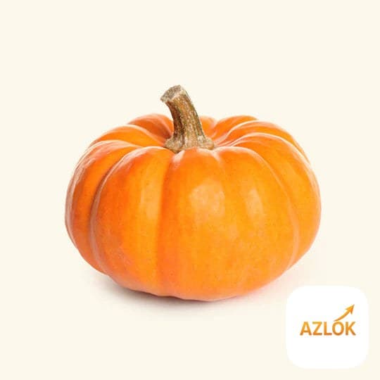 Spicy Pumpkin Flavor Oil - Image 1