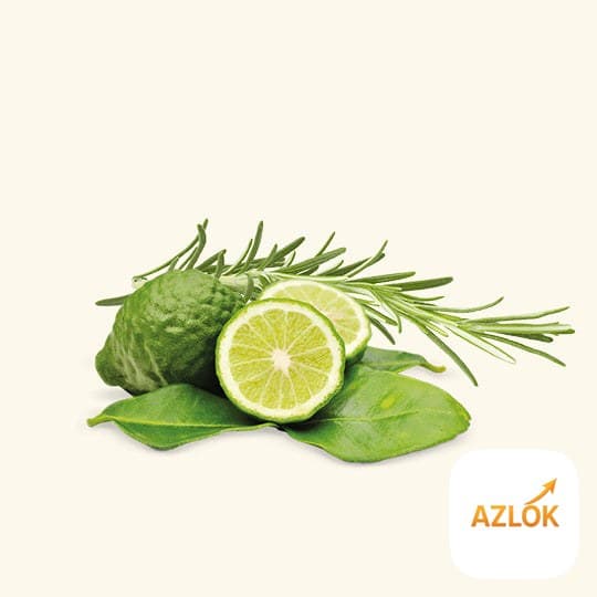 Swagger Fragrance Oil - Image 1