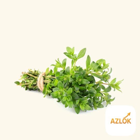 Thyme Essential Oil - Image 1