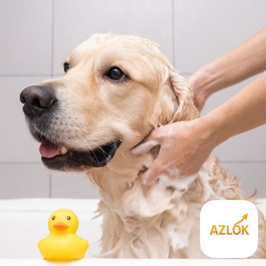 Transparent Pet Shampoo Base ( Ready to Use ) - Image 1