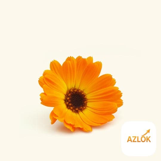 Tring Fragrance Oil - Image 1