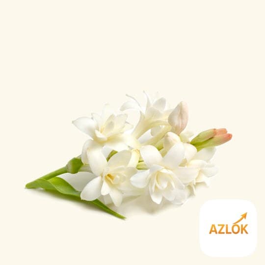 Tuberose Fragrance Oil - Image 1