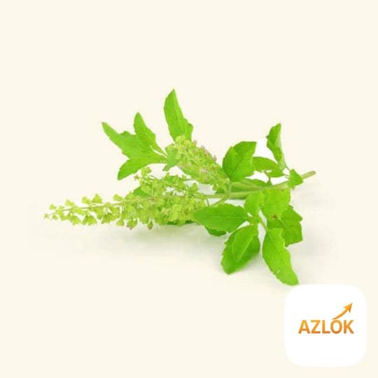 Tulsi Flavor Oil ( Holy Basil Flavoured Oil) - Image 1
