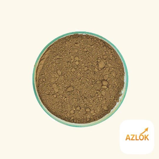 Tulsi Powder - Image 1