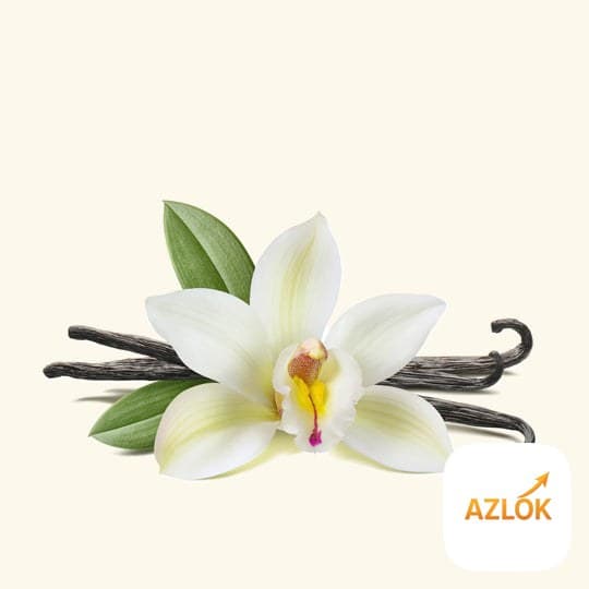 Vanilla Fragrance Oil - Image 1