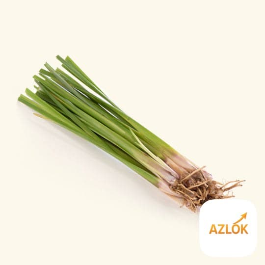 Vetiver (Khus) Liquid Extract - Image 1