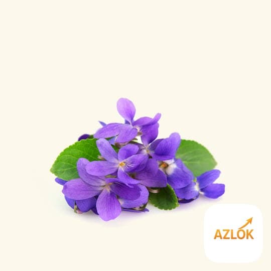 Violet Fragrance Oil - Image 1