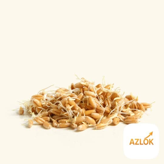 Wheat Germ Oil - Image 1