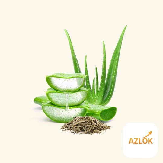 White Tea & Aloe Fragrance Oil - Image 1
